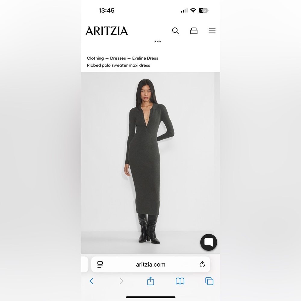 NWT Aritzia Eveline Dress